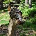 Grosser Arber und Hirschgehege Buchet - 2010.06.27_14_55_50